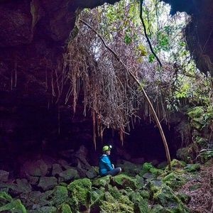 Meet your Posher, Dixie